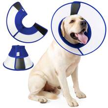 塑料宠物术后恢复项圈/伊丽莎白圈，适用于犬猫术后，可调节犬用颈圈，防止咬伤和舔舐伤口 - 彩色 - 查看 20