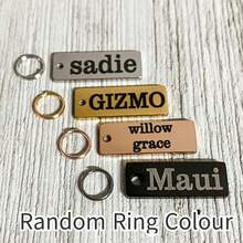 Thẻ định danh thú cưng cá nhân hóa: Thẻ định danh thú cưng bằng thép không gỉ khắc laser theo yêu cầu, có thể tùy chỉnh tên và số điện thoại của thú cưng, giúp ngăn ngừa thú cưng bị lạc ngoài trời. - màu đen - Xem 10