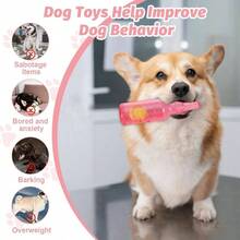 Crunch and Bottle Dog, Zentric Crunchnplay Bottle Dogs, Pet Chew Beer Bottle with Tennis Ball, Squeaky Plastic Bottle Dog Small Medium Big 1* Pink - 1*Verde - Ver 3