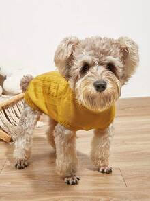 1 قطعة كنزة صوفية قطة/كلب كبير بتصميم ملون أحادي بطراز ملفوف مجدول عتيق بياقة عالية للكلاب الكبيرة مثل الريتريفر الذهبي والبودل - أصفر - مشاهدة 5