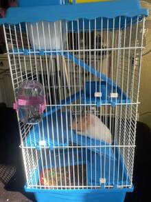 Jaula Premium Para Hámster,Jaula De Hámster De 4 Pisos Con Tobogán Y Hervidor De Agua Blue/marrón,23*17*44cm,Un parque infantil para animales pequeños, fácil de limpiar, resistente y duradero,Portátil y conveniente, la jaula para mascotas es pequeña y exquisita, bien ventilada, fácil de llevar a su mascota al hospital/juego al aire libre. Todo el dispositivo es muy ligero y se puede llevar fácilmente en viajes al aire libre, ya sea en paseos o excursiones. Pintura sin plomo, por lo que no es tóxica para los hámsters. - azul - Ver 11