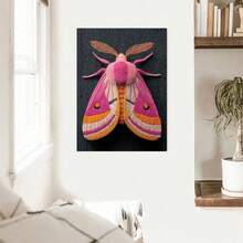 Colorful Moth Canvas Wall Art Vibrant Insect Design Prints For Living Room Bedroom Nature Inspired Home Decor Home Decor Room Decor Halloween Decor Halloween Wall Decor Halloween Decorations Bathroom Decor Fall Decor Poster Navidad Decoración Para Cuarto Perfect - 彩色 - 查看 4