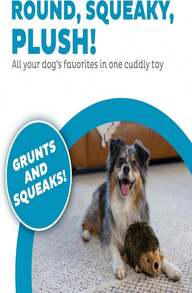 Outward Hound, Hedgehogz Plush Dog Toy, Medium - MàuC - Xem 2