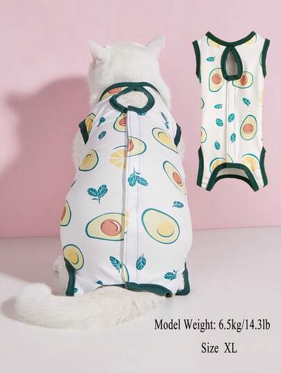 Soft & Thin Cat Spay/Neuter Clothing, Kitten Weaning Outfit, 4-Leg Cat Anti-Lick Warm Wear