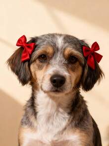 5 pezzi Set di fermagli per capelli a fiocco per animali domestici, fiocchi di raso colorati a doppio strato carini, fermagli per capelli di cani, accessori per capelli di gatti, adatti per Natale, Ognissanti, abbigliamento per animali domestici per vacanze, decorazione quotidiana