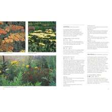 Planting The Natural Garden - As Pic - View 7