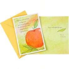 Teacher Appreciation Card Assortment For Day Care Preschool Elementary School Graduation Or Back To School 8 Cards With Envelopes - Multicolor - View 4
