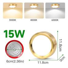 1 件金色嵌入式筒灯，现代 LED 吸顶灯，客厅/卧室吸顶灯，金色圆形 LED 面板灯，5W/10W/15W/25W，冷白/中性白/暖白，AC185-265V，易于安装，适用于卧室、客厅、厨房、走廊、楼梯、地下室、车库、酒吧、商场、书房、陈列室 - 金色明裝筒燈 - 查看 13