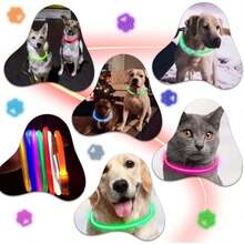 Pet Basic Dog Collars - Rose - View 7
