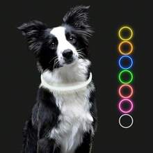 Pet Basic Dog Collars - White - View 9