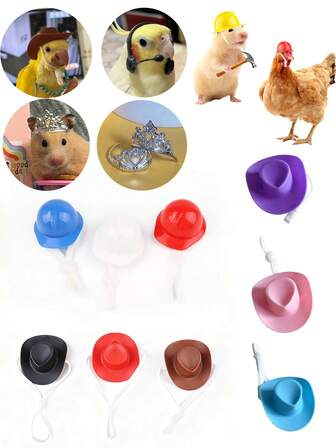 1/2/3 件随机款式和颜色宠物配饰 - 仓鼠皇冠帽、鹦鹉装饰帽、蜥蜴/青蛙/鸡帽等创意宠物头饰