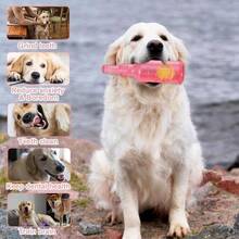 Crunch and Bottle Dog, Zentric Crunchnplay Bottle Dogs, Pet Chew Beer Bottle with Tennis Ball, Squeaky Plastic Bottle Dog Small Medium Big 1* Pink - 1*Verde - Ver 6