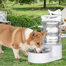 RIZZARI Automatic Pet Waterer Gravity Stainless Steel Water Dispenser 7L For Cats And Small Dogs - White - View 5