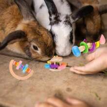 Charming 3-Piece Wooden Chew Toy Set For Small Pets - Engaging Activity Toys For Rabbits And Hamsters - Mặc định - Xem 4