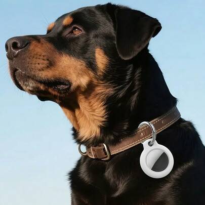 غطاء حامل Airtag مع سلسلة مفاتيح، غطاء GPS مقاوم للصدمات ومقاوم للخدش ل- Airtag، لاكسسوارات Airtag، لصندوق تتبع العناصر GPS، للحقائب والأمتعة، 2 قطعة