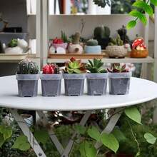 45pcs/90pcs Small Transparent Plastic Square Seedling Pots (With Drainage Holes), Suitable For Sprouting, Cacti, Herbs, Succulents Planting - Clear - View 6