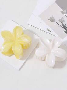 2 件亚克力渐变大花朵设计发夹，简约优雅发髻夹，精致女士发饰，适合日常佩戴和度假发夹发夹发夹发夹秋冬爪夹 - 彩色 - 查看 10