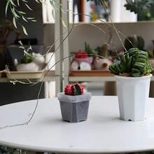 45pcs/90pcs Small Transparent Plastic Square Seedling Pots (With Drainage Holes), Suitable For Sprouting, Cacti, Herbs, Succulents Planting - Clear - View 8