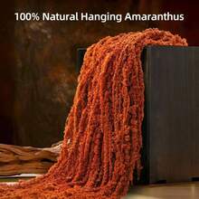 1/2/3/4/5 Branches Of Delicate White Flowers, Pure White Floral Embellishment, Rustic Chic Home Adornment/ Wedding Decoration Dried Blossoms