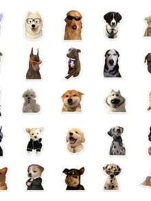 50 pegatinas de expresiones de perros famosos en Internet .sticker.Tesoro de juguete - Multicolor - Ver 3