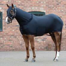 Premium Horse Sleazy Full Body Slicker With Zipper Face Horse Care Sheet, Made From Durable 4-Way Stretch Spandex, Full Body Cover Is Stretchable, Breathable And Lightweight - Multicolor - View 2