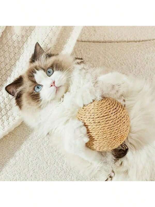 Interactive Sound Cat Ball Catching Toy, Cartoon Pattern, Various Varieties And Sizes, Pet Companion Toy, No Battery