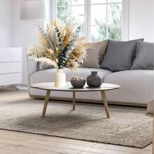 Dried Plants - Colorful - 查看 7