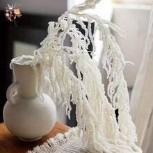 1/2/3/4/5 枝精致的白色花朵，纯白色花卉点缀，质朴别致的家居装饰/婚礼装饰干花