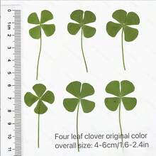 Tarjeta postal de trébol de cuatro hojas transparente, adecuada para aniversario, Acción de Gracias, Pascua - Marcador de libros floral, decoración de regalo, papelería para vacaciones, estilo minimalista y elegante, foto visible