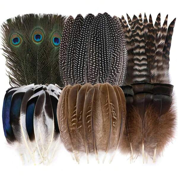 Holmgren 48pcs Natural Feathers Bulk - 6 Styles Assorted Peacock, Pheasant, Turkey Feathers For Craft DIY Jewelry Hat Wedding Home Party Decoration