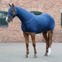 Premium Horse Sleazy Full Body Slicker With Zipper Face Horse Care Sheet, Made From Durable 4-Way Stretch Spandex, Full Body Cover Is Stretchable, Breathable And Lightweight - Multicolor - View 1