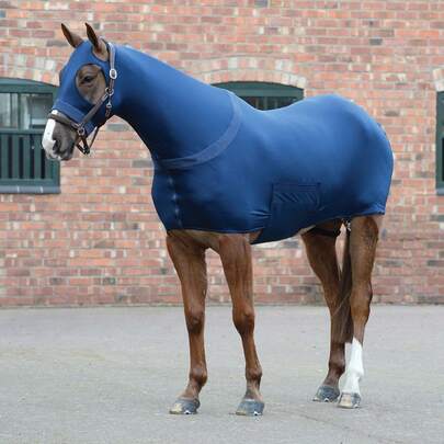 Premium Horse Sleazy Full Body Slicker With Zipper Face, Made From Durable 4-Way Stretch Spandex, Full Body Cover Is Stretchable, Breathable And Lightweight, Providing Unmatched Durability And A Snug, Comfortable Fit For Your Horse.