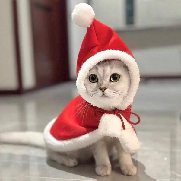 Roupa de Natal para Cães e Gatos (1 peça), Presente para Seus Amados Pets, Capa de Papai Noel, Robe de Natal para Gatos, Roupa Quentinha de Inverno para Gatinhos, British Shorthair, Ragdoll, Filhotes, Outono/Inverno Festivo