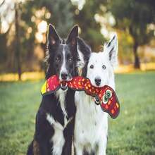 Outward Hound Tough Seamz Lion Plush Dog Toy, Medium - MàuF - Xem 5