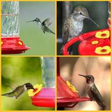 24 Pieces Hummingbird Feeders Replacement Flowers Pet Bird Feeder Replacement Feeding Ports With 2 Cleaning Brushes For Outdoor Hanging Feeders Red+Yellow