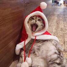 1件圣诞宠物狗猫服装，送给爱宠的礼物，圣诞老人斗篷披风，猫咪圣诞长袍，适合小猫、英国短毛猫、布偶猫、幼犬的保暖冬装，节日秋冬装