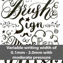 Arts Brush Sign Pen Artist Wallet Of 12 Assorted Standard Colours SESF30C12