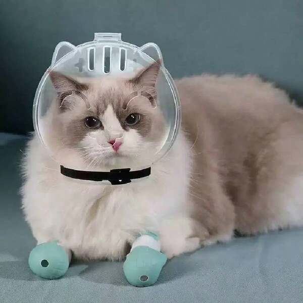 Pet Cat Cone Collar, Anti-Bite Helmet, Bathing & Nail Trimming Protective Gear, Prevent Cat From Biting, Scratching And Licking, Pet Supplies (Small Size For Cats Under 5kg, Large Size For Cats Under 8kg)