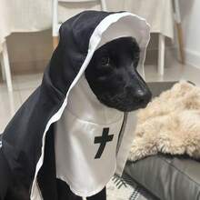 1pc Pet Halloween Costume Hoodie, Funny Cosplay Photography Prop For British Shorthair, Teddy, Poodle, Puppy, Kitten, Gothic Style, Suitable For Spring, Autumn, Winter