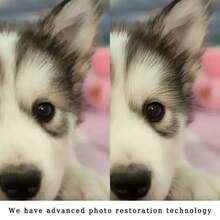 Pături de canapea, pături decorative și pături pentru somn