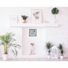 Murals - Home Sweet - View 8