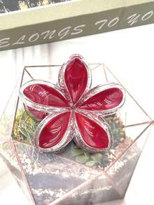 1 pieza/3 piezas/6 piezas/9 piezas Pinza de pelo de plástico ABS con estampado floral, pasador de pelo dulce para playa, viaje, fiesta, vacaciones, regreso a clases, nuevo lanzamiento 2025 Accesorios de pelo de invierno