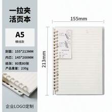 A5 Minimalist Removable Loose Leaf Notebook, Transparent B5 Spiral Bound Lined Notebook