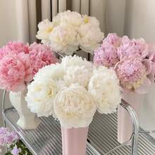 121 piezas de semillas de flor de peonía - Flor de peonía - Grandes flores fragantes en colores brillantes - Ideal para jardines y flores cortadas - No transgénico, resistente - 121 piezas - Ver 4