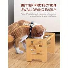 حامل أطباق الحيوانات الأليفة القابل للتعديل من الفولاذ المقاوم للصدأ، أطباق فردية/مزدوجة مضادة للانسكاب للقطط والكلاب، يحمي العمود الفقري، مناسب للحيوانات الأليفة الفردية والمتعددة