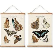 2 Pack Vintage Butterfly