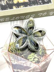 1 pieza/3 piezas/6 piezas/9 piezas Pinza de pelo de plástico ABS con estampado floral, pasador de pelo dulce para playa, viaje, fiesta, vacaciones, regreso a clases, nuevo lanzamiento 2025 Accesorios de pelo de invierno