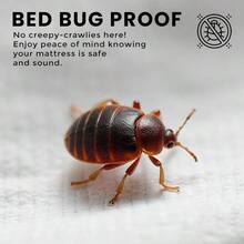 Utopia Bedding Premium Zippered Waterproof Mattress Encasement Bed Bug Proof Mattress Cover Ample Zipper Opening Mattress Protector Queen - White - View 4