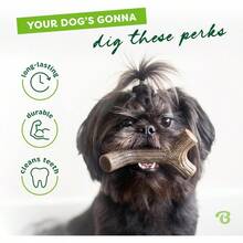 Benebone Durable Stick Dog Chew Toy For Aggressive Chewers Maplestick Giant Made In The USA. - MapleWood - View 3