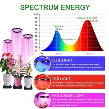 1 Set LED Grow Light, Red & Blue Spectrum Plant Light, Height Adjustable, Auto On/Off Timer 3/9/12H, 10 Brightness Levels, USB Powered, For Indoor Plants & Mini Bonsai - Red + Blue - View 5